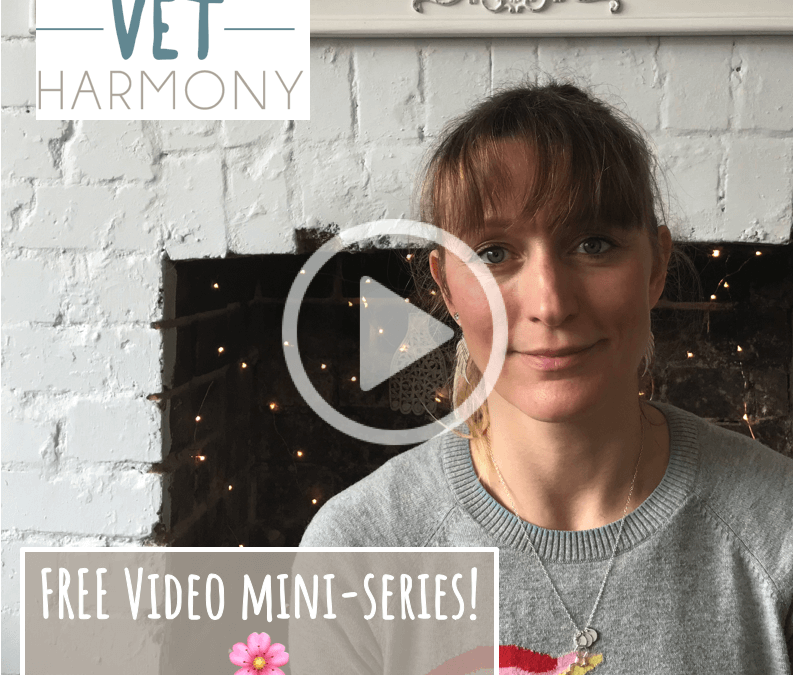 harmony vet harmony vet